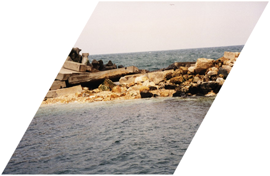 https://www.mancas.ro/wp-content/gallery/slider/image003.png